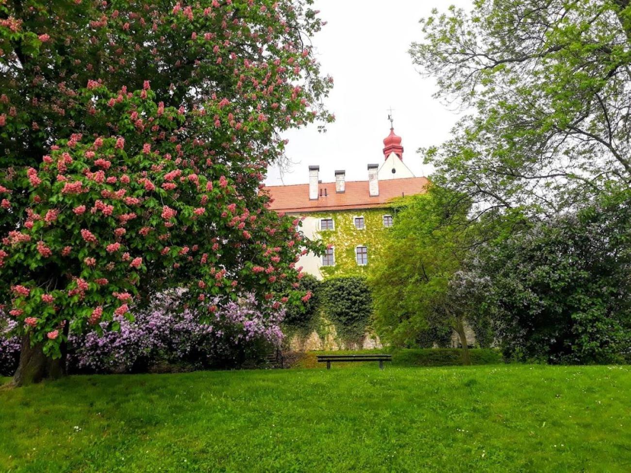 Lev I Sova Apart otel Mělník Dış mekan fotoğraf