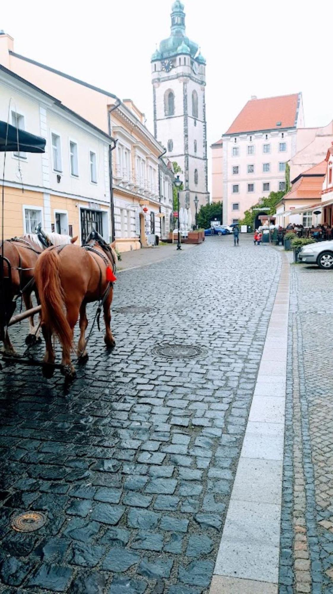Lev I Sova Apart otel Mělník Dış mekan fotoğraf
